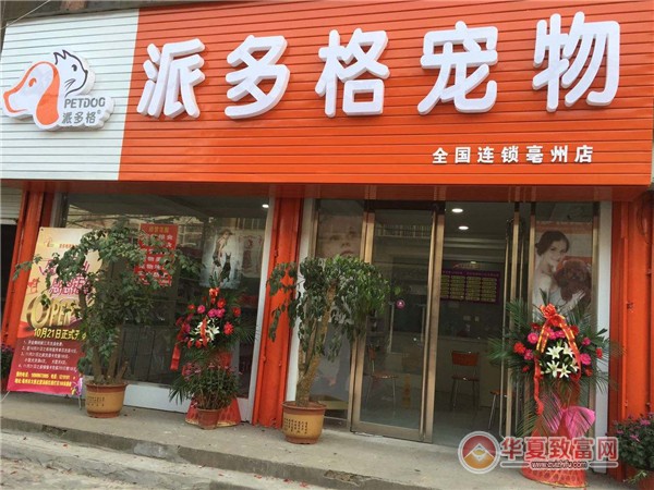 派多格宠物店加盟